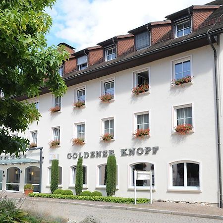Hotel Goldener Knopf Bad Säckingen Εξωτερικό φωτογραφία