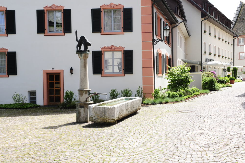 Hotel Goldener Knopf Bad Säckingen Εξωτερικό φωτογραφία